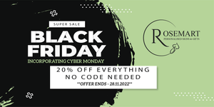 BLACK FRIDAY 20% OFF EVERYTHING